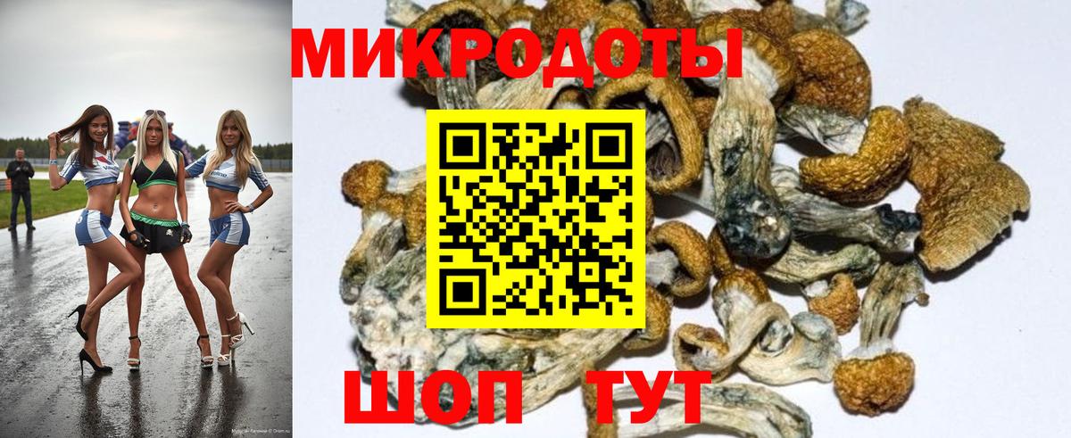 Псилоцибиновые грибы MAGIC MUSHROOMS  Вход с VPN  Златоуст 